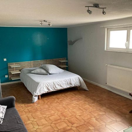 Appartement En Rez-De-Chaussee De Maison Montanay Kültér fotó